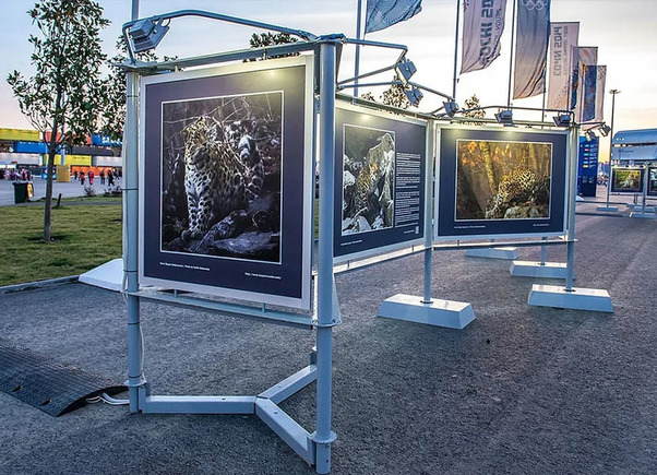 Информационные стенды